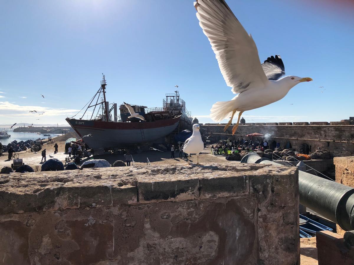 Riad De La Mer Essaouira Ngoại thất bức ảnh